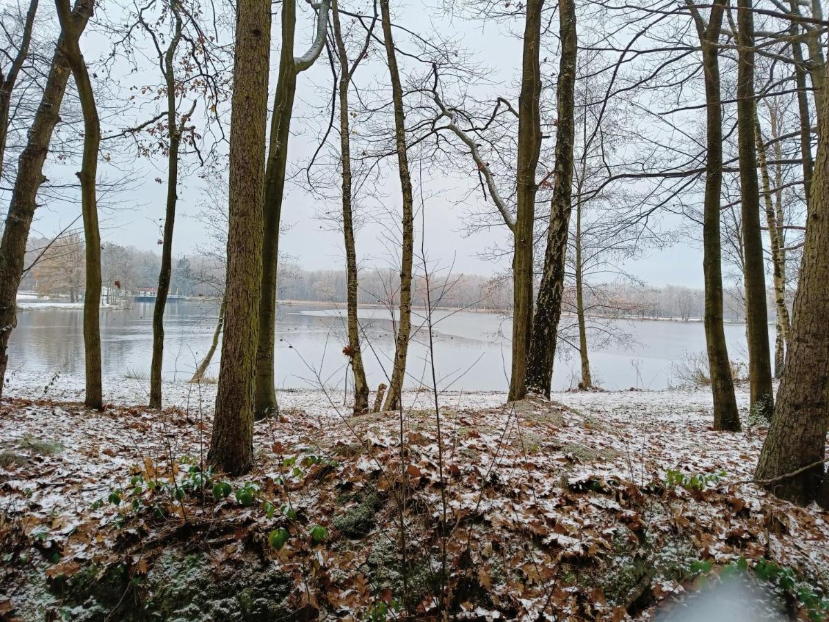 Lauwie 14 Lanaken Kültér fotó