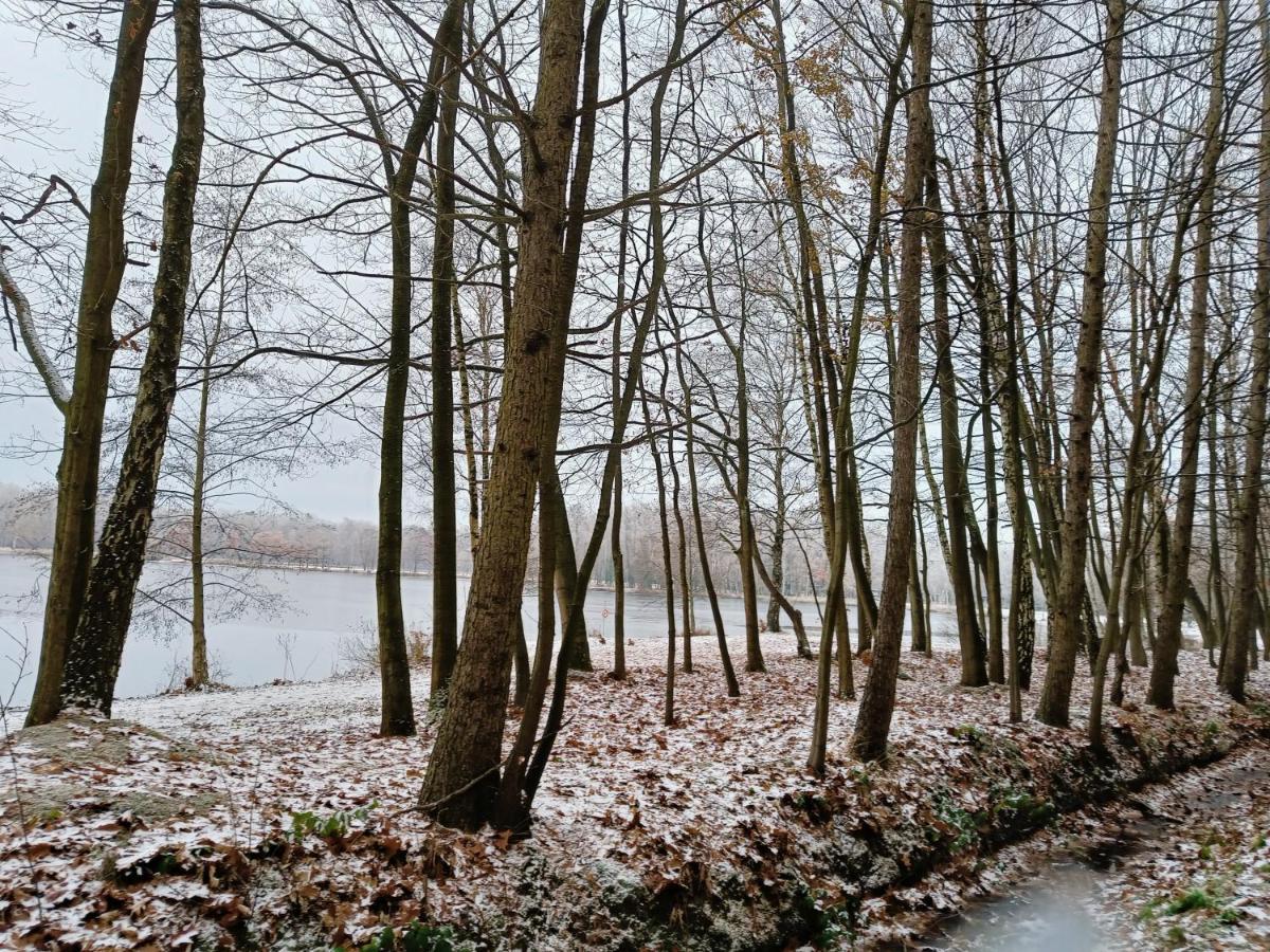 Lauwie 14 Lanaken Kültér fotó