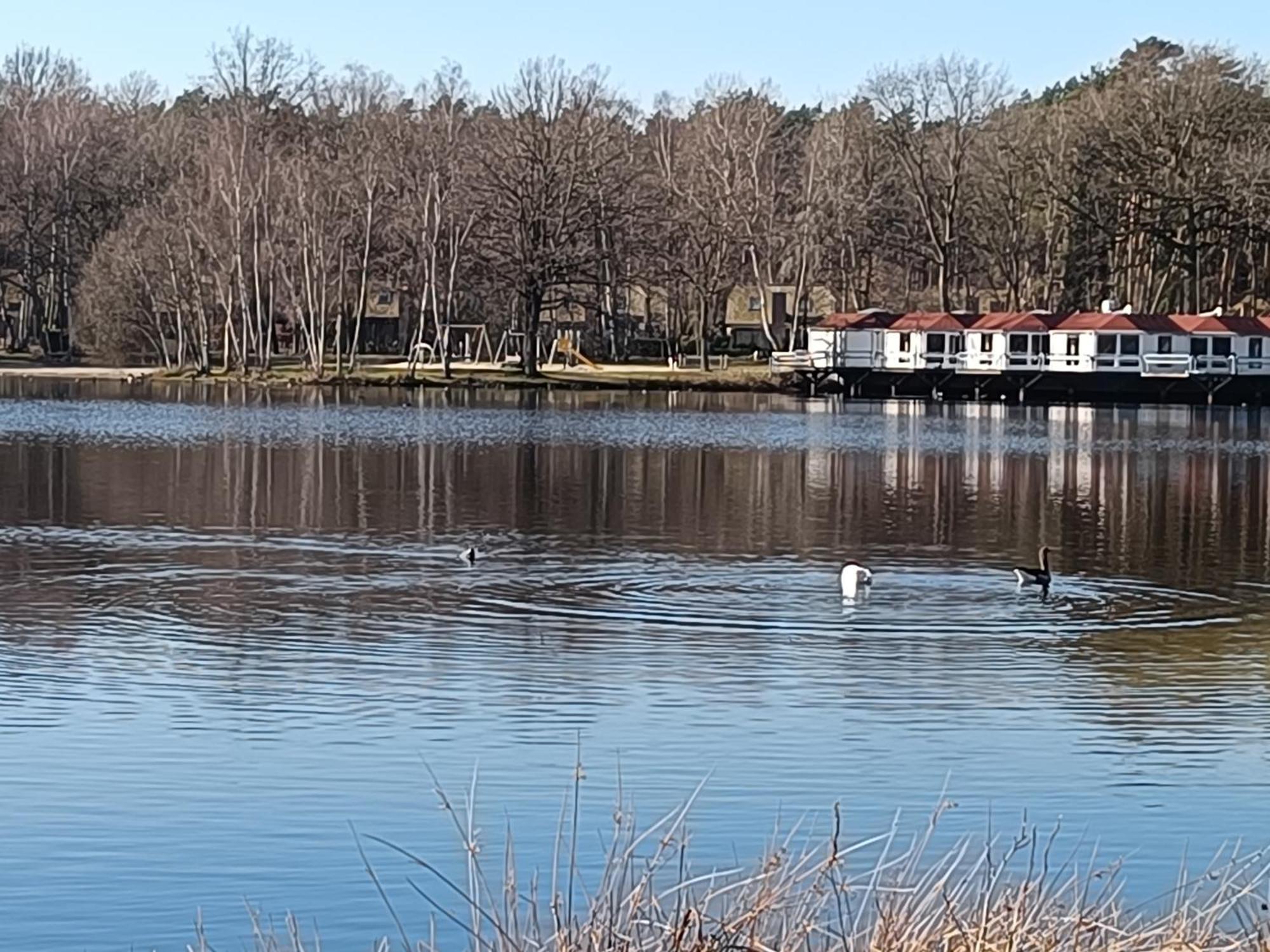 Lauwie 14 Lanaken Kültér fotó